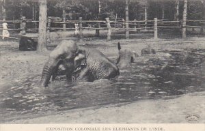 Exposition Coloniale Les Elephants de L'Inde 1907  Hagenbeck Circus and Zoo