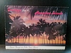 Postcard   Greetings From The Hawaiian Islands    Z2