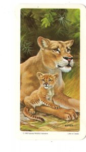 Lion, Red Rose Tea Trading Cards Animals & Their Young Series Canada