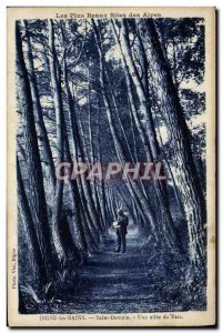 Old Postcard Digne Les Bains Saint Domnin A Allee Du Parc