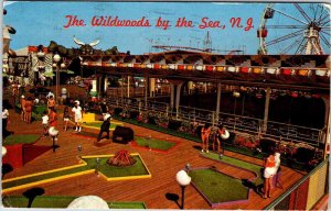 Postcard TOURIST ATTRACTION SCENE Wildwood New Jersey NJ AN1042