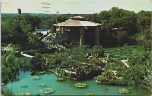 USA Texas San Antonio Chinese Tea Garden Brackenridge Park Vintage Postcard C213