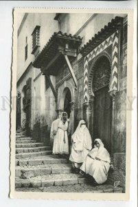 439408 Algeria arab street veiled girls Vintage photo postcard