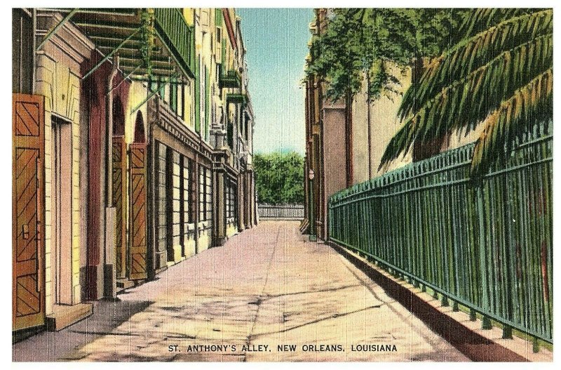 St Anthony's Alley New Orleans Louisiana Vintage Postcard