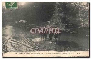 Camp of Saint Medard in Jalles Old Postcard The bath of horses in a jalle