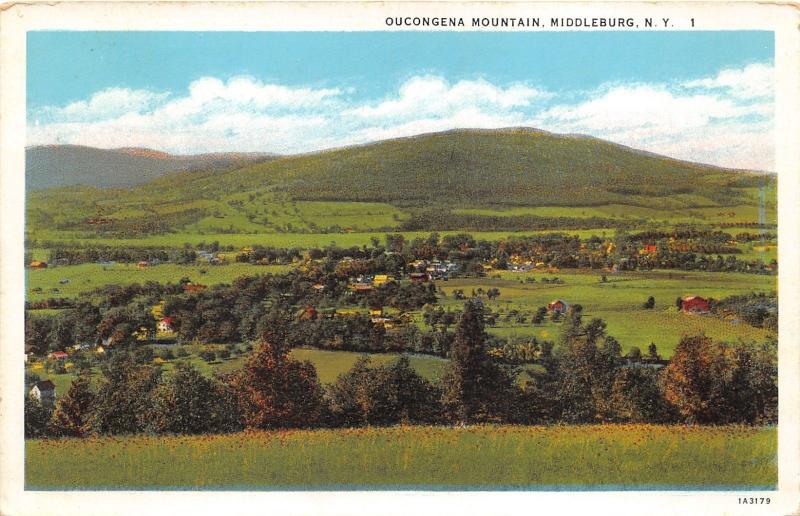 Middleburg New York~Oucongena Mountain Bird's Eye View~1920s Postcard