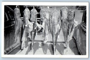 1940 Hot Springs New Mexico NM Vintage Postcard Eight Channel Catfish Yellow Cat