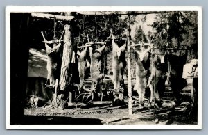 ALMANOR INN CA DEER HUNTING TROPHIES VINTAGE REAL PHOTO POSTCARD RPPC