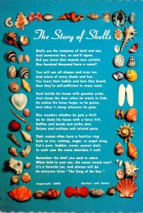 Sea Shells The Story Of Shells For Sun and Fun VIsit The Bahamas