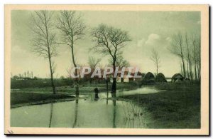 Old Postcard Vendee maraichine Landscape Marsh