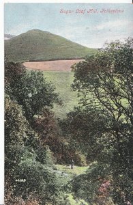 Kent Postcard - Sugar Loaf Hill - Folkestone - Showing Man with Dog   MB1310