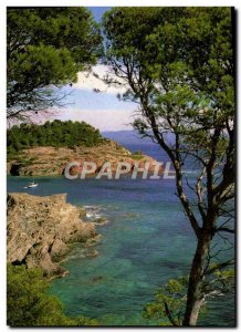 Modern Postcard The Cote d & # 39Azur cove In The Pines
