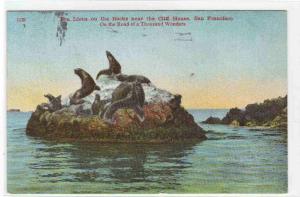 Sea Lions Seal Rocks Cliff House San Francisco California 1910 postcard