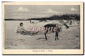 Old Postcard North America Polar Reindeer Alaska Hitch