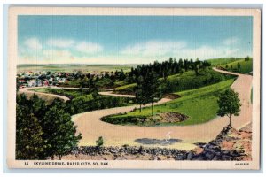 c1940s Scene Skyline Drive Rapid City South Dakota SD Vintage Unposted Postcard 