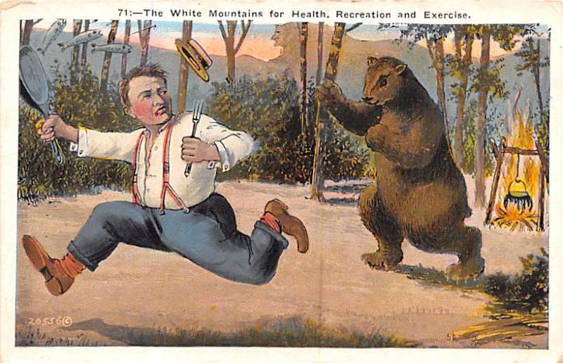 #71 The White Mountains for Health, Recreation and Exercise Bear Unused 