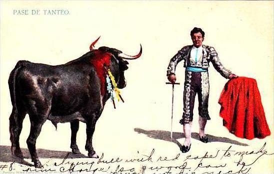 Mexico Bullfight Pase De Tanteo