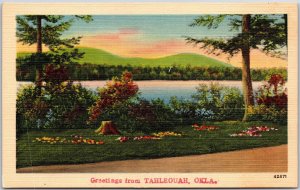 Greetings from Tahleouah Oklahoma OK Mountain & Ground Landscape Postcard