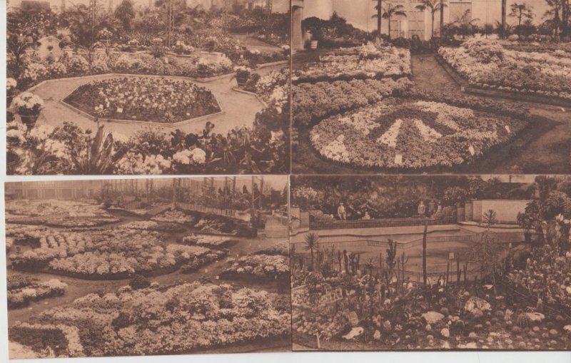 FLOWER EXPOSITION Gand 1908, 1933,1955 Belgium 42 Vintage Postcards (L5473)