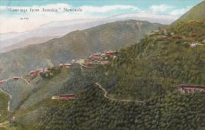 Jamaica Newcastle Aerial VIew