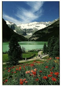 Aerial View Postcard Lake Louise Banff Natl Park Alberta Canada Postmarked