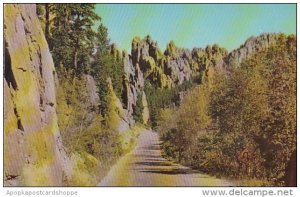 South Dakota Black Hills Cathedral Spires From Needles Highway