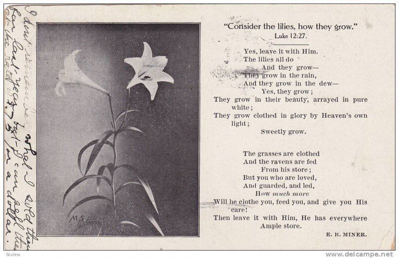 Consider the lilies, how they grow Luke 12:37, Poem by E.B. Miner, PU-1910