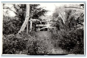 c1920's Jungle Residence Palm Tree Mariana Island Guam RPPC Photo Postcard 