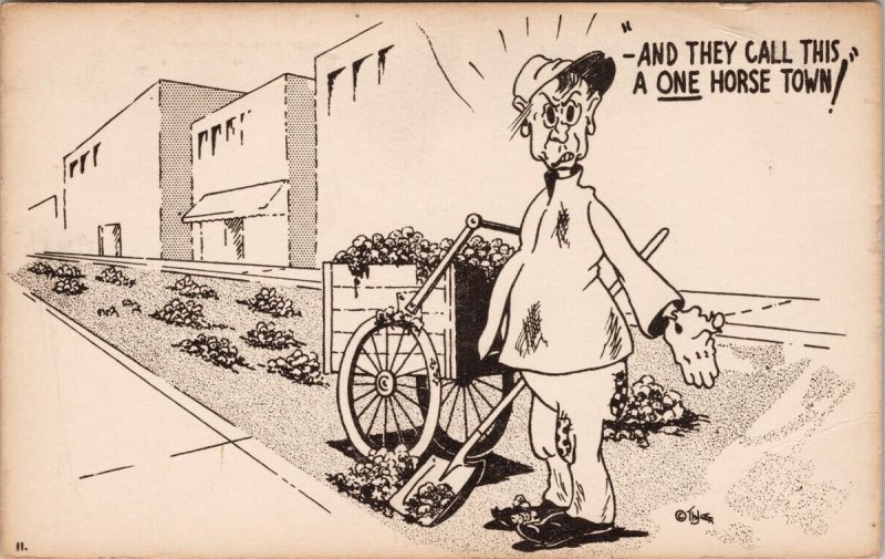 Comic One Horse Town Man Cleaning Horse Poop Humour Unused Postcard H41