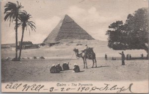 Postcard Cairo Egypt the Pyramids + Stamp