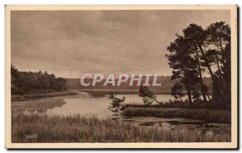 Gers - Yvon - La Douce France - Les Landes of Gascony - L & # 39Etang of Moli...