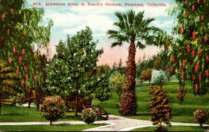 California Pasadena Busch Sunken Gardens In Mid Winter