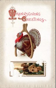 Postcard Thanksgiving Greetings - Turkey in Wishbone - 1910 Meeker #946