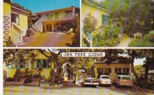 California Carmel Oak Tree Lodge 1961