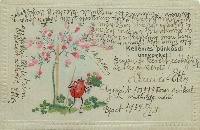 Humanized embossed drawn luck ladybug vintage seasonal greetings Hungary 1909