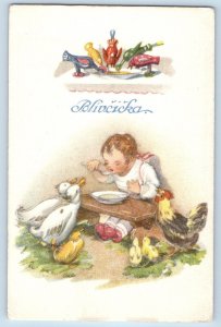 Czech Republic Postcard Child Eating With Ducks Chicken Hen c1910's Antique