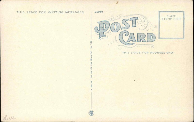 Malden MA Storefronts & Trolley on Pleasant St. c1920 Postcard