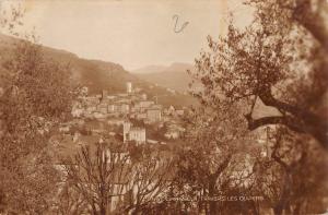 BF8397 grasse a travers les oliviers france      France