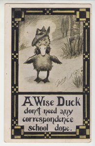 P2210, 1912 comic postcard a wise duck don,t need any correspondence school dope