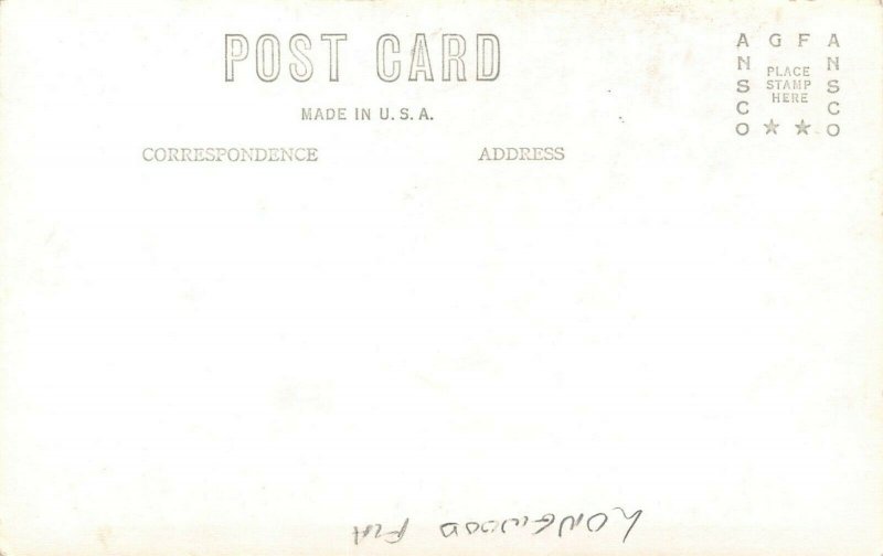 LP16 Longwood   Florida Postcard Big Tree  RPPC