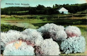 Bermuda Coral Old House Antique Postcard DB PM Cancel WOB Note 