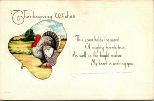 Vtg Thanksgiving Wishes Turkey Acorns Holds the Secret Verse 1920s Postcard