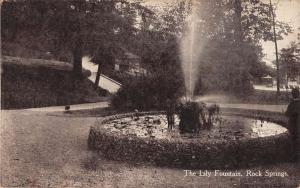 Rock Springs West Virginia Lily Fountain Street View Antique Postcard K88341