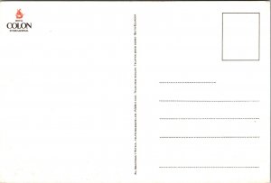 Hotel Colon Internacional International Ecuador  Postcard