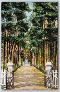 Entrance Hermitage Home of General Andrew Jackson Nashville TN Vintage Postcard