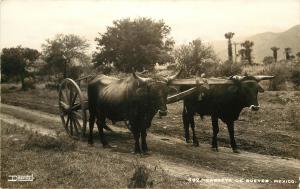 RPPC Desentis 662 Postcard Carreta De Bueves Ox Cart Mexico