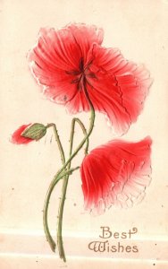 1909 Best Wishes Beautiful Red-Orange Hibiscus Flower Greetings Vintage Postcard