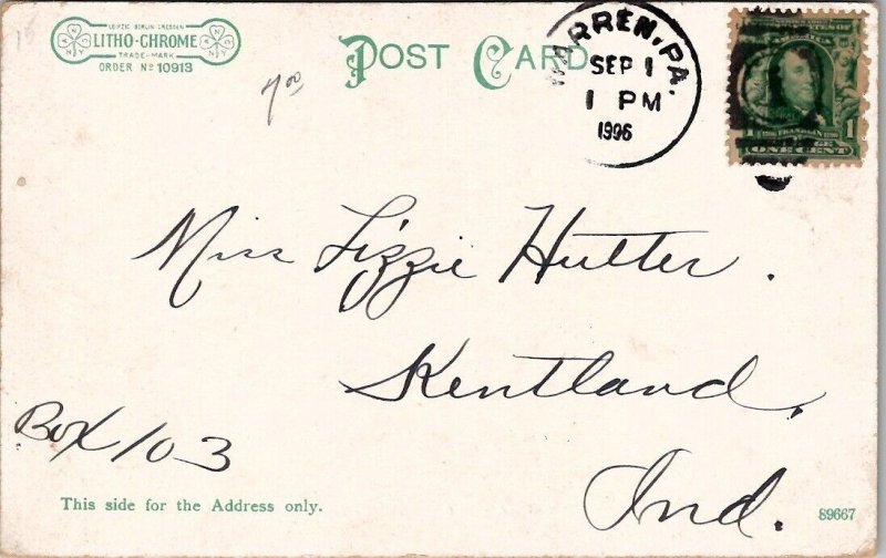 State Hospital Warren Pennsylvania Outing Grounds Boating 1906 Postcard X17 