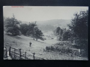 Gloucestershire Cotswolds SAPPERTON VALLEY - Old Postcard by W.D.M. & Co.