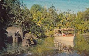 Elephant Bathing Pool Disneyland Anahem California 1969
